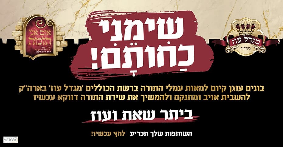 ani_homa