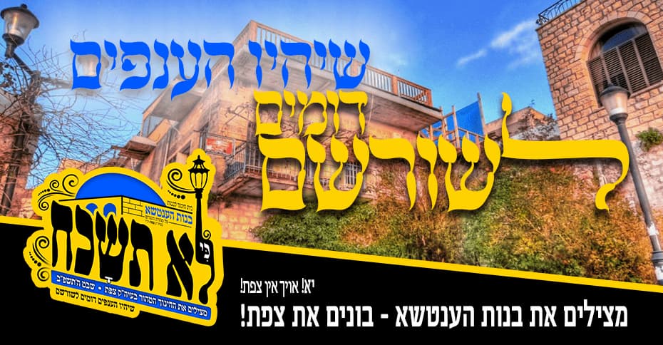 loa_tishakhach